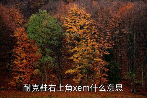 耐克鞋右上角xem什么意思