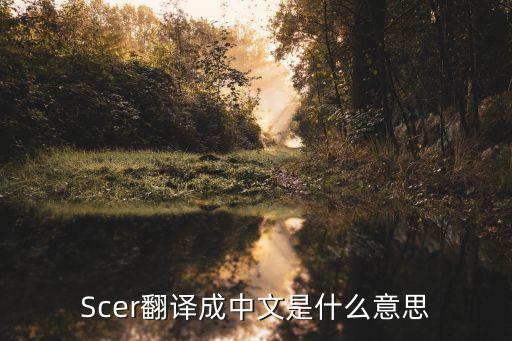 Scer翻譯成中文是什么意思