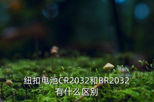 紐扣電池CR2032和BR2032有什么區(qū)別