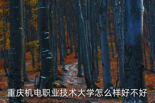 重慶機(jī)電職業(yè)技術(shù)大學(xué)怎么樣好不好