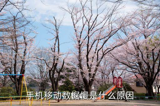 手機數(shù)據(jù)網(wǎng)絡延遲高,手機網(wǎng)絡延遲高怎么辦?