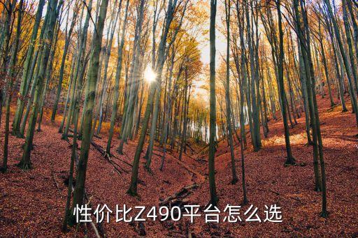 性價比Z490平臺怎么選
