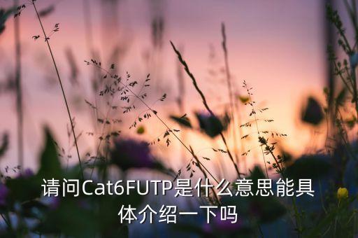 請問Cat6FUTP是什么意思能具體介紹一下嗎