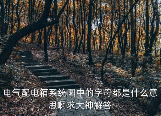 電氣配電箱系統(tǒng)圖中的字母都是什么意思啊求大神解答