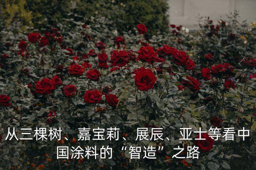 涂料自動化加工設備,鋼毛刷自動化設備廠家生產(chǎn)鋼絲刷設備