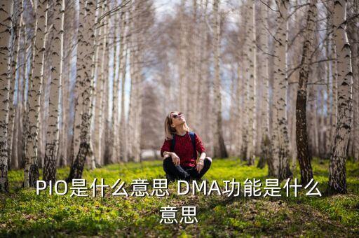 DMA模式，DMA的工作原理