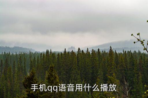 語(yǔ)音播放，為什么手機(jī)不能語(yǔ)音播放