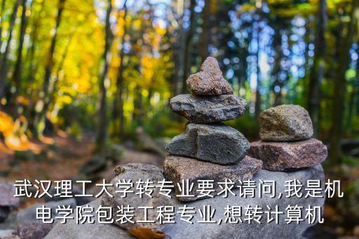 武漢理工大學(xué)轉(zhuǎn)專業(yè)要求請問,我是機(jī)電學(xué)院包裝工程專業(yè),想轉(zhuǎn)計算機(jī)