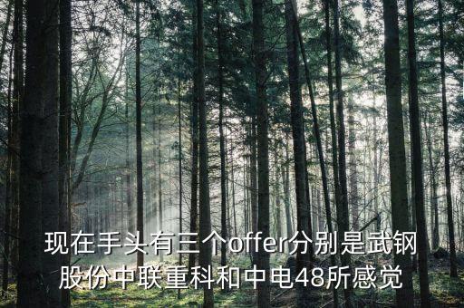 現(xiàn)在手頭有三個(gè)offer分別是武鋼股份中聯(lián)重科和中電48所感覺