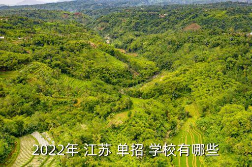 電氣自動化單招學(xué)校江蘇,四川電氣自動化技術(shù)單招學(xué)校有哪些