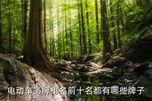 電摩十大品牌,電動摩托車品牌排名出爐哪些牌子最暢銷?