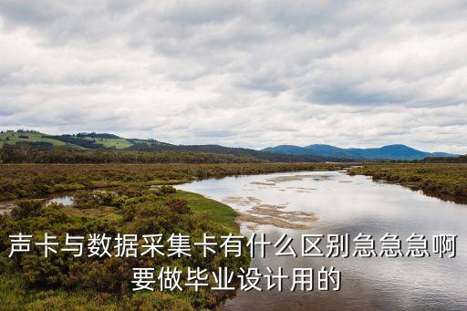 聲卡與數(shù)據(jù)采集卡有什么區(qū)別急急急啊 要做畢業(yè)設(shè)計用的
