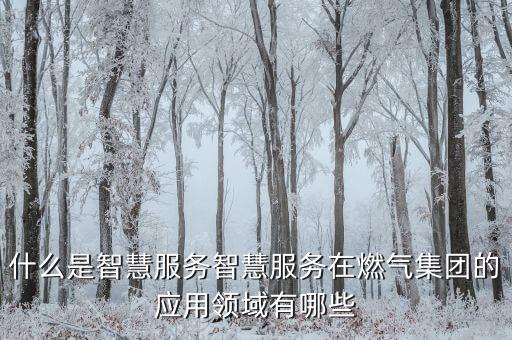 什么是智慧服務(wù)智慧服務(wù)在燃?xì)饧瘓F(tuán)的應(yīng)用領(lǐng)域有哪些