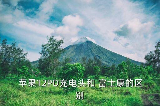 蘋果12PD充電頭和 富士康的區(qū)別