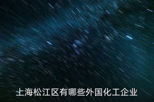 上海松江區(qū)有哪些外國(guó)化工企業(yè)