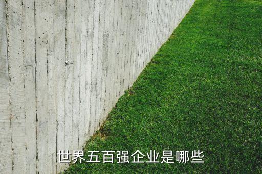 世界五百強(qiáng)企業(yè)是哪些