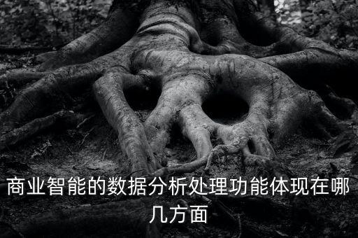 商業(yè)智能的數(shù)據(jù)分析處理功能體現(xiàn)在哪幾方面