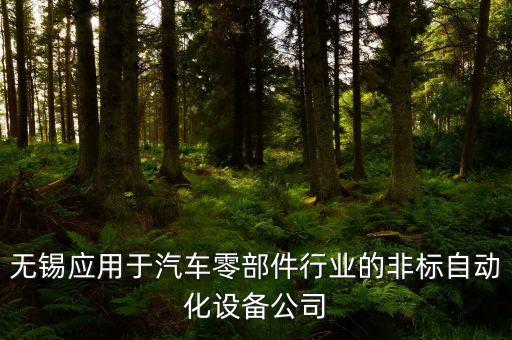 無錫應(yīng)用于汽車零部件行業(yè)的非標(biāo)自動(dòng)化設(shè)備公司