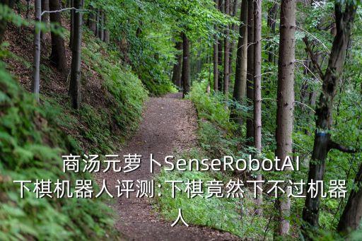 系扣機(jī)器人,科沃斯機(jī)器人怎么樣?不用擔(dān)心每周大掃除!