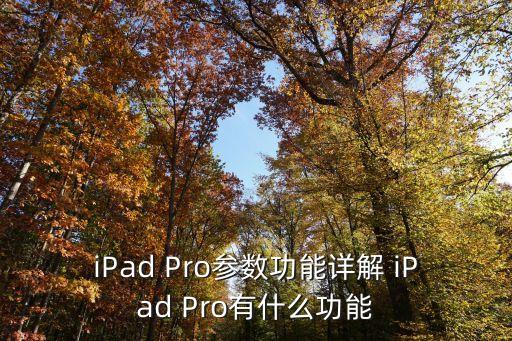 iPad Pro參數功能詳解 iPad Pro有什么功能