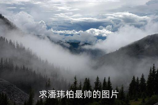 求潘瑋柏最帥的圖片