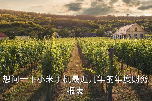 想問一下小米手機(jī)最近幾年的年度財務(wù)報表