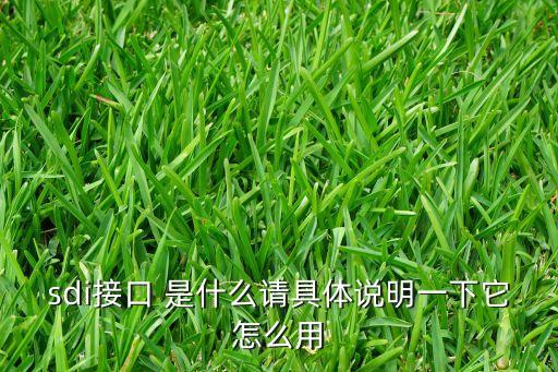 sdi接口 是什么請(qǐng)具體說明一下它怎么用