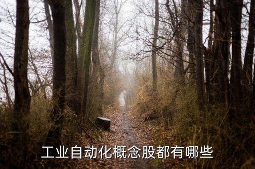湖南自動(dòng)化上市公司,ai上市公司有哪些?