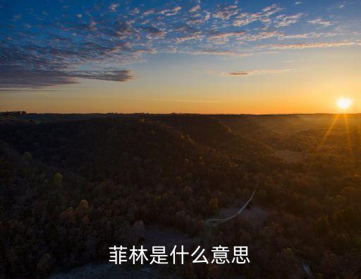 菲林是什么意思