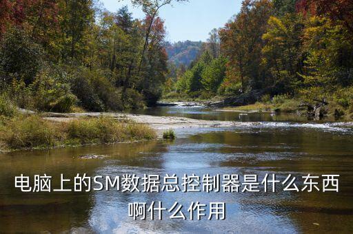 sm總線控制器，電腦中的SM總線控制器是什么