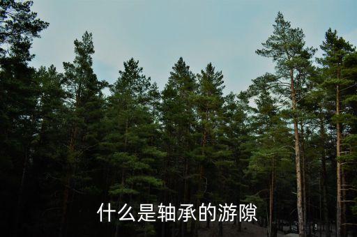 軸承游隙，什么是軸承游隙請(qǐng)說(shuō)的簡(jiǎn)單易懂點(diǎn)