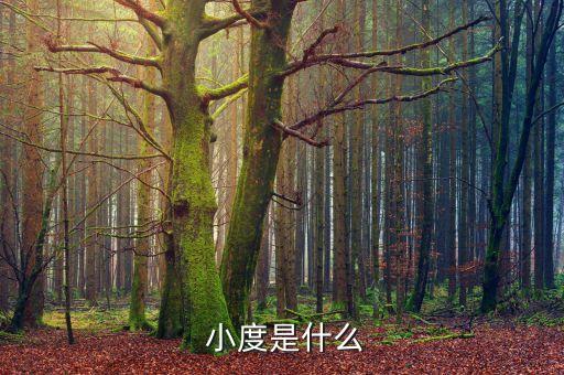  小度是什么