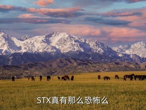 STX真有那么恐怖么