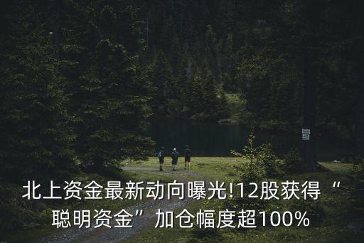 北上資金最新動向曝光!12股獲得“聰明資金”加倉幅度超100%