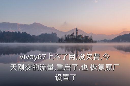 vivoy67上不了網(wǎng),沒欠費,今天剛交的流量,重啟了,也 恢復(fù)原廠 設(shè)置了