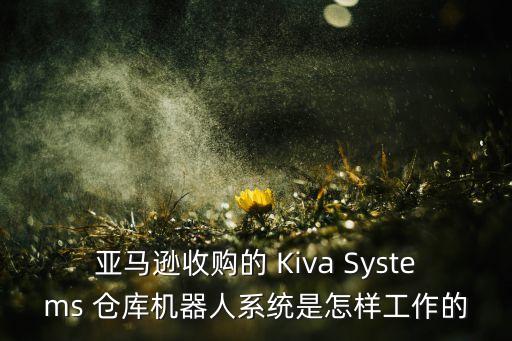 亞馬遜收購的 Kiva Systems 倉庫機器人系統(tǒng)是怎樣工作的