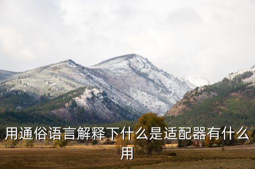 用通俗語(yǔ)言解釋下什么是適配器有什么用