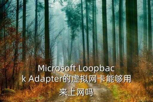 Microsoft Loopback Adapter的虛擬網卡能夠用來上網嗎