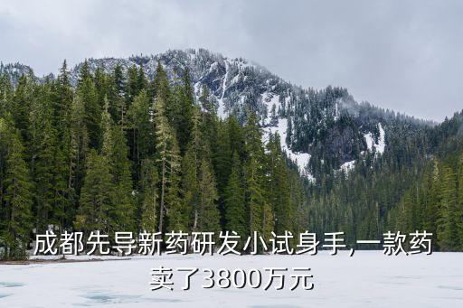  成都先導(dǎo)新藥研發(fā)小試身手,一款藥賣了3800萬元