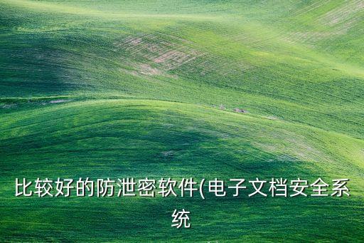 比較好的防泄密軟件(電子文檔安全系統(tǒng)