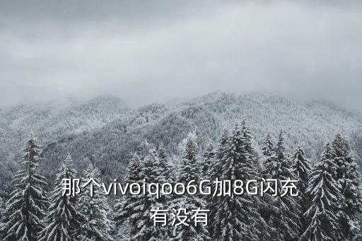 那個(gè)vivoiqoo6G加8G閃充有沒(méi)有