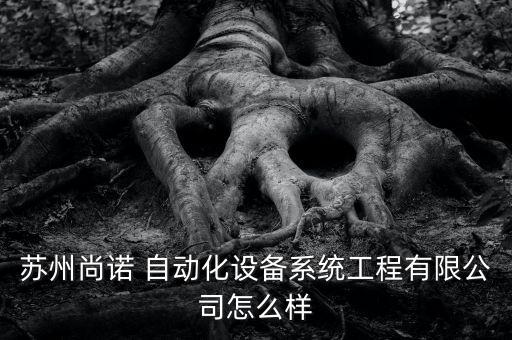 蘇州尚諾 自動化設(shè)備系統(tǒng)工程有限公司怎么樣