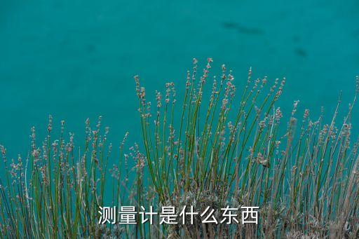 量計，暗黑血統(tǒng)2技能欄的收魂者量計有什么用