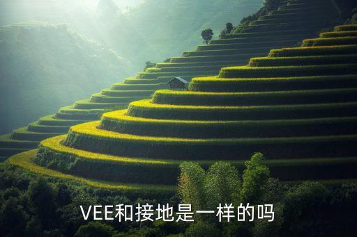 vee是什么意思，veve是什么意思