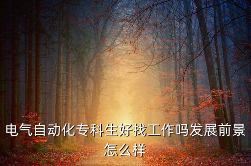 電氣自動(dòng)化?？粕谜夜ぷ鲉岚l(fā)展前景怎么樣