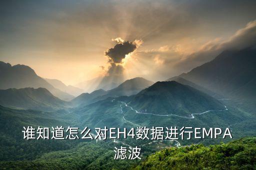 empa，誰知道怎么對EH4數(shù)據(jù)進(jìn)行EMPA濾波
