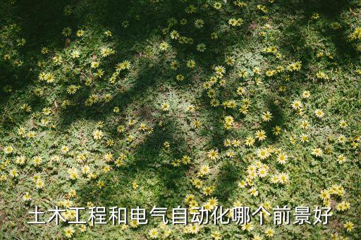 土木工程和電氣自動(dòng)化哪個(gè)前景好