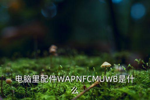 電腦里配件WAPNFCMUWB是什么
