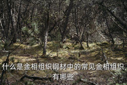 什么是金相組織鋼材中的常見金相組織有哪些