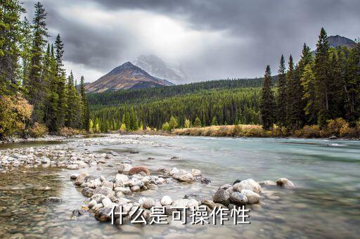 什么是可操作性
